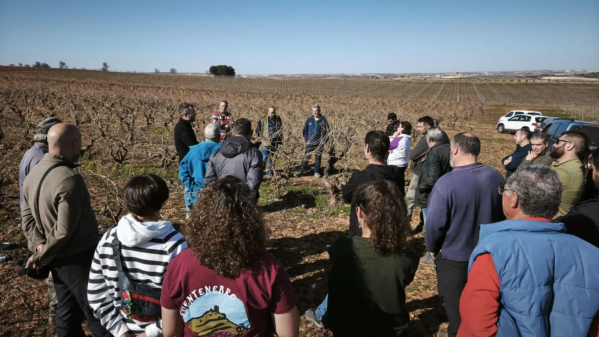 A950 Viñedos de Altura impulsa la formación en poda para reforzar la calidad de sus viñedos